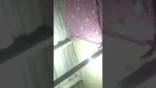 kisah nyata pertarungan sengit 