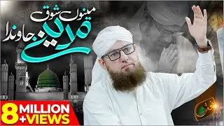 Menu Shoq Madine Jawan Da | Haji Abdul Habib Attari | New Naat 2019