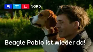 Ein tierischer Kriminalfall: Hund Pablo wird entführt, sein Herrchen erpresst