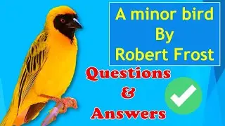 a minor bird - questions and answers ( robert frost)