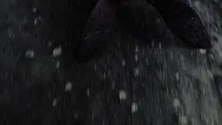 Ful Stop - Vignette (Ben Wheatley)