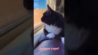 Доброе утро!