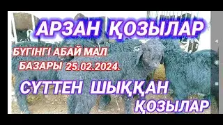 АБАЙ МАЛ БАЗАРЫ ҚОЙ, ҚОШҚАР, ҚОЗЫ БАҒАСЫ | КЕЛЕС АБАЙ МАЛ БАЗАРЫ 2024