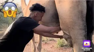 MAANTA GEEL BAAN LISAY😱😱(GONEWRONG)