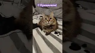 #best