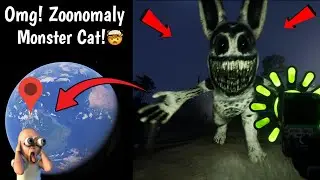 😰 I Found Zoonomaly Cat in Real Life On Google Earth and Google Maps! | Part 3 