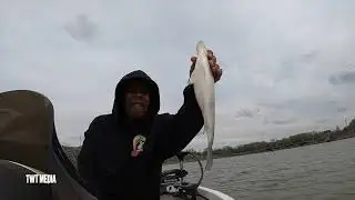Fremont Ohio White Bass Run 4:29:23