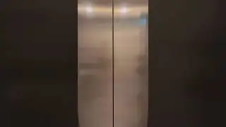 도움이 필요할 땐 언제든지 나타나는 wow😇 