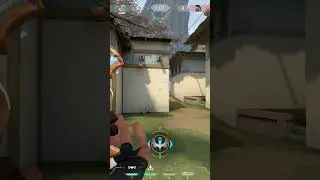Classic over guardian
