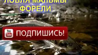 Мальма Форель Пеструшка.