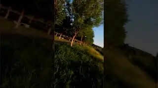 RunCam Thumb Pro