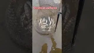 Отличная рыбалка
