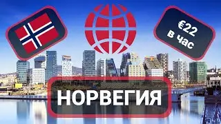 Работа в Норвегии в 2022 году. Рабочая виза и официальное трудоустройство. Зарплаты и требования