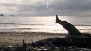 Quileute tribe to move out of tsunami zone