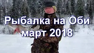 Рыбалка на Оби. Март 2018