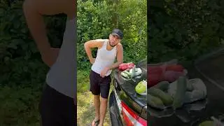 МЕСТНЫЙ ОВОЩНОЙ РЫНОК и ДЕВУШКА