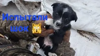 Неожиданная находка🙉