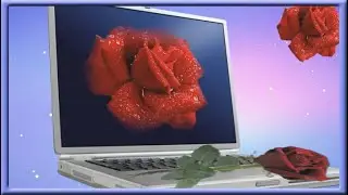МОИМ ДРУЗЬЯМ, С ЛЮБОВЬЮ!
