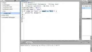 13 Learn to Program in Dart:  Conditional If Statements  - String, bool