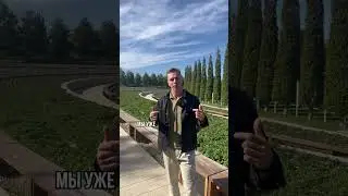 Проекционная реклама приведет к тебе новых клиентов