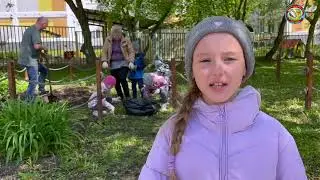 Экологическое воспитание - весенние посадки, дошкольное образование