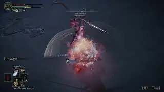 Elden Ring: They KIND OF Let Me 1v1