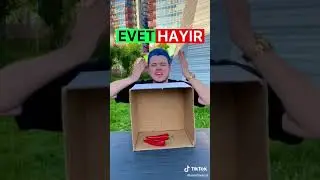 Semih Varol yeni TikTok videosu - Evet/Hayır 