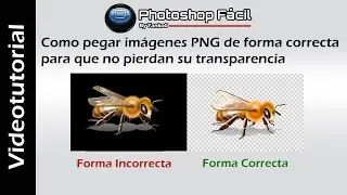 Como pegar imágenes Png sin fondo sin perder la transparencia #Photoshop