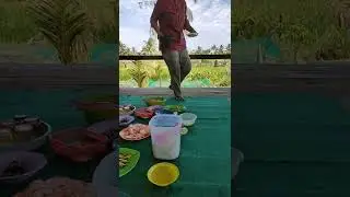 Suasana Makan Siang di Sawah...