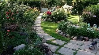 Идём в гости к Светлане.Как укрыть черенки  роз .🌹Подготовка сада к зиме