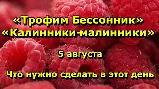 Народный праздник «Трофим Бессонник». 5 августа. Что нужно делать в этот день