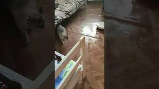 9 августа 2023 г.