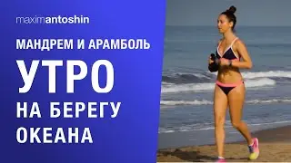 Мандрем и Арамболь. Утро на берегу океана / Mandrem & Arambol& Morning on the Ocean