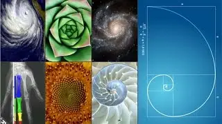 golden ratio fibonacci sequence connection Numbers in Jehovah's Creation Intelligent Design
