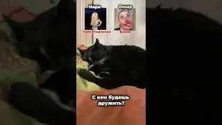 6 июля 2024 г.