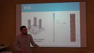 PCR