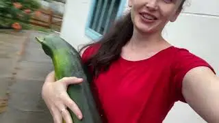 Выходные в деревне 12 августа 2023