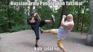 Mix Panantukan - RAPT 