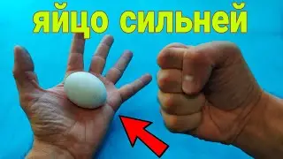 НЕЛЬЗЯ РАЗДАВИТЬ ЯЙЦО ОДНОЙ РУКОЙ / ВЫИГРАТЬ СПОР НА ДЕНЬГИ