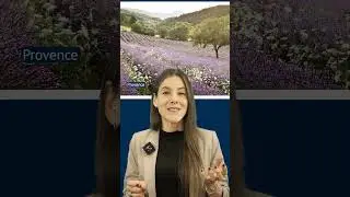 Lüneburger Heide vs. Provence - Die besten Reise-Doppelgänger Deutschlands 🍁 #shorts