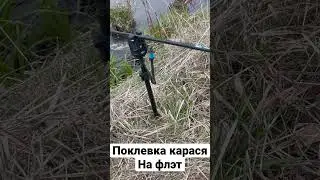 Карась на флэт фидер