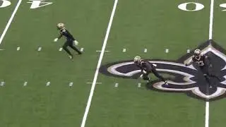The Panthers Are Going 0-17
