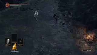 Dark Souls 3 - Siegward of Catarina vs Eygon of Carim