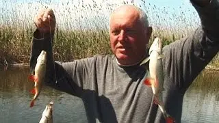 Прикольная рыбалка НА СОБАКУ и ВОРОБЬЯ. Неподражаемые приманки.