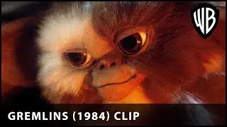 The Rules of the Mogwai! | Gremlins (1984) | Warner Bros. UK