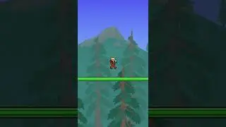 ТЕСТ ПО ТЕРРАРИЯ (terraria аксессуары)  