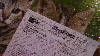 Видеопротоколирование.Возврат почтового извещения на почту в почтовый ящик,вернуть отправителю!