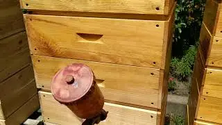 Покраска ульев. Покраска корпусов.