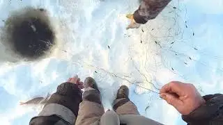 Это  было   в  прошлом  веке....