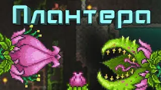 [Terraria] - Как призвать Плантеру (Plantera)